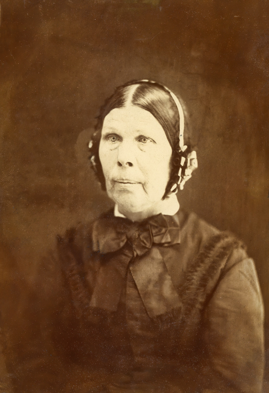 Portrait of a Lady  