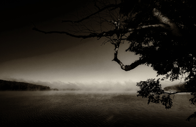 Morning Mist 