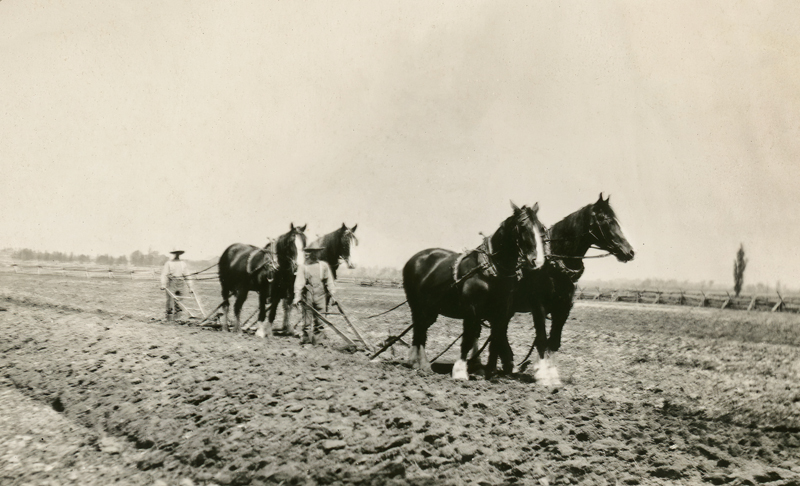 Plowing  