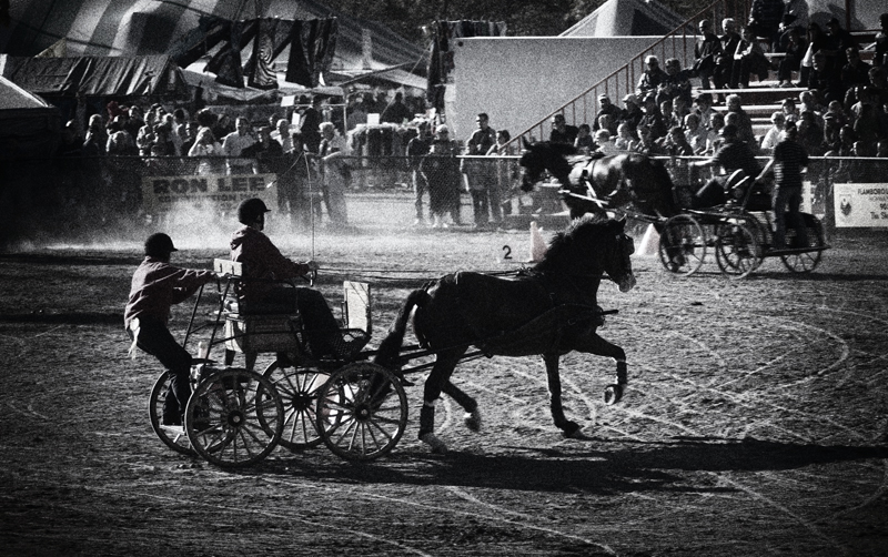 Buggy Race 