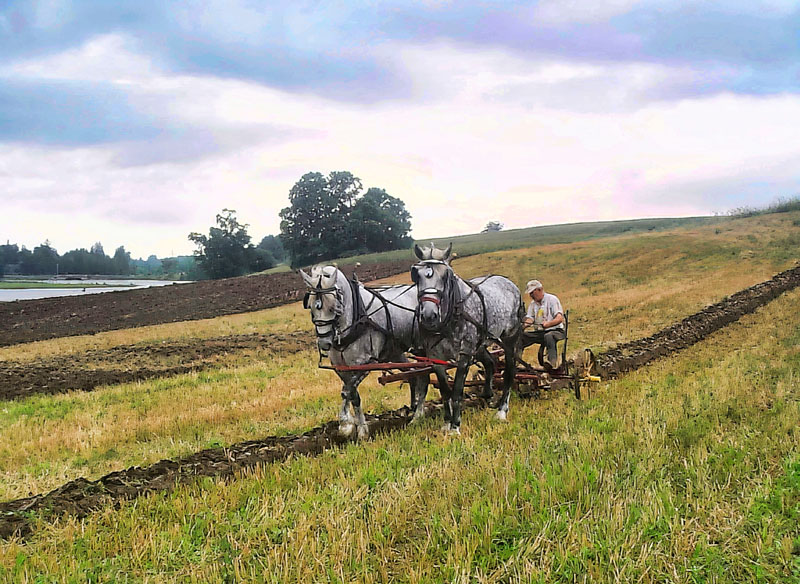 Horsepower  