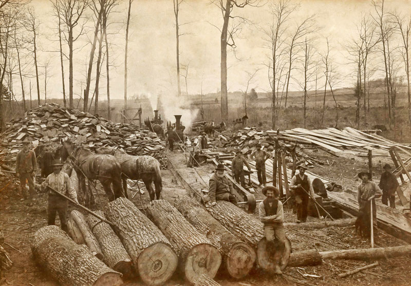 Sawmill 