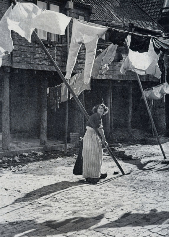 The Flags 