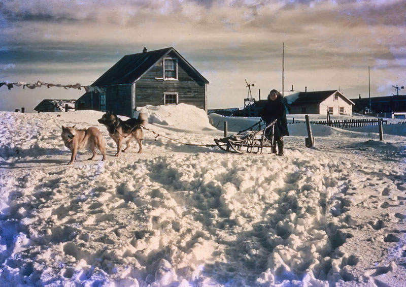 Dog Sled R.jpg