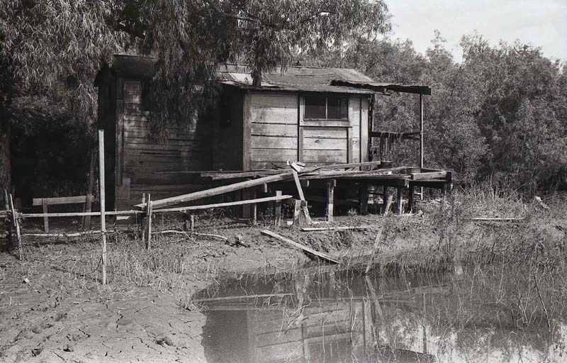 Cabin 