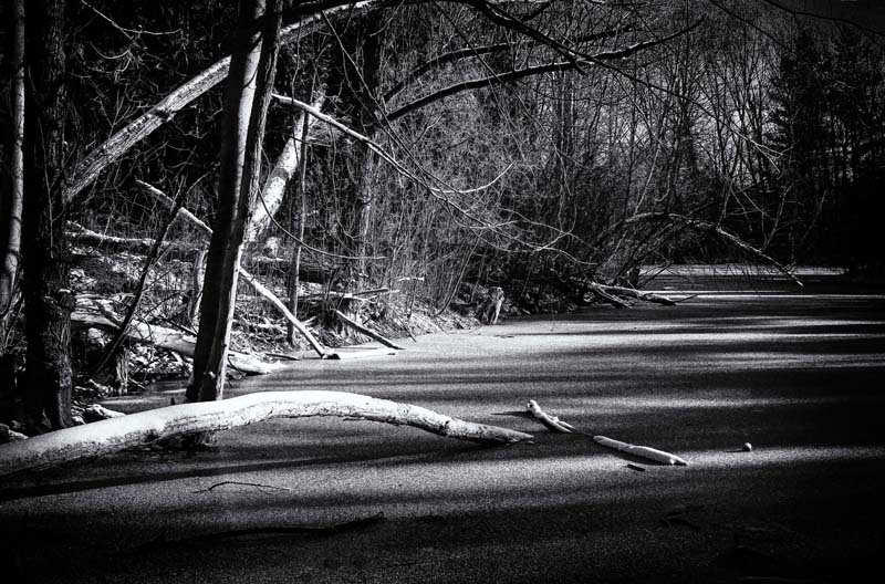 The Beaver Pond BW 