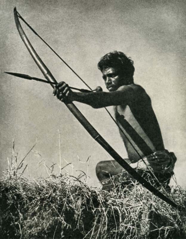Bhil Archer  