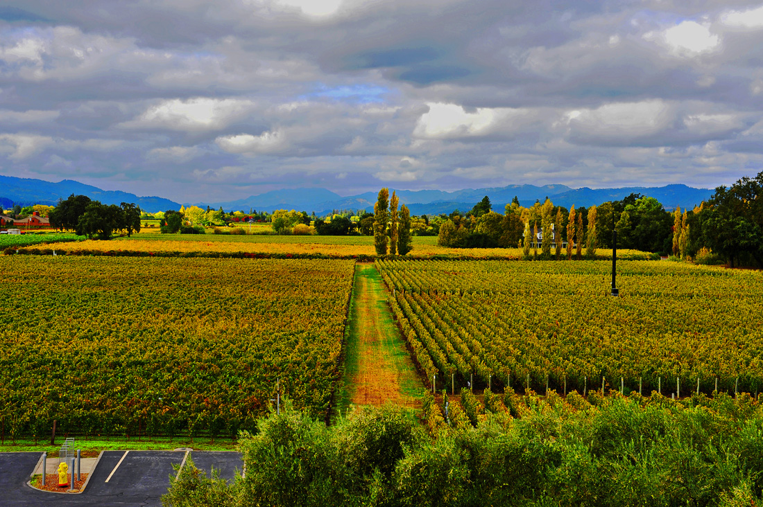 25_Napa Valley CA.jpg