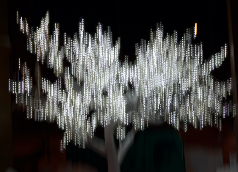 DSC05434.jpeg