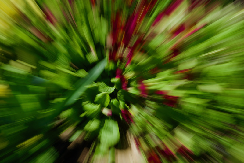 DSC06699.jpeg