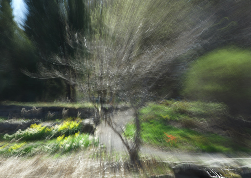 DSC06727.jpeg