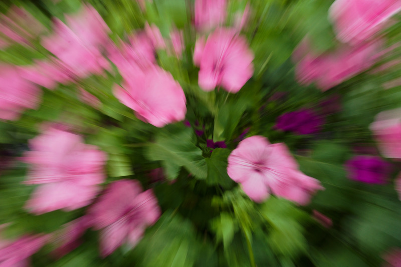 DSC09492.jpeg