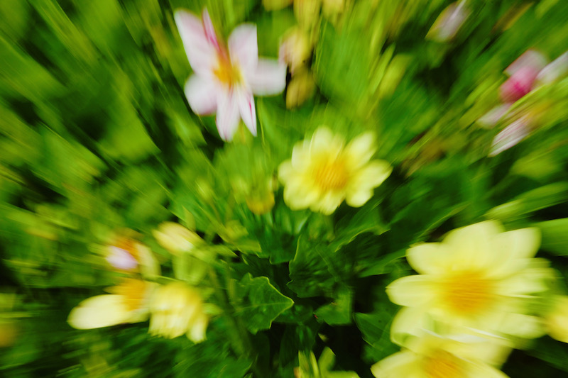 DSC09560.jpeg