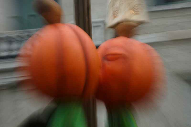DSC01528.jpeg