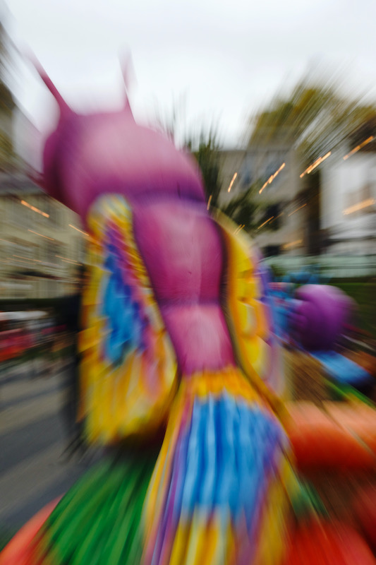 DSC01563.jpeg