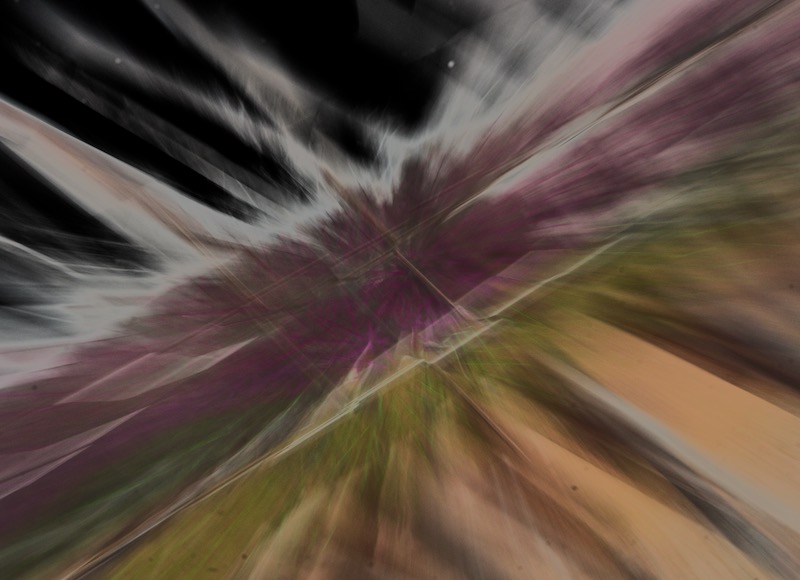 DSC02305.jpeg