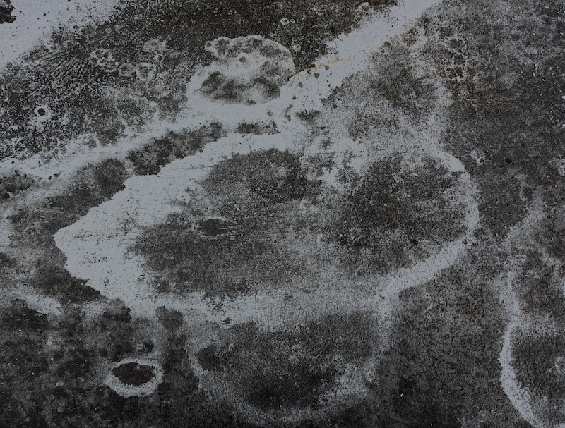 DSC02843.jpeg
