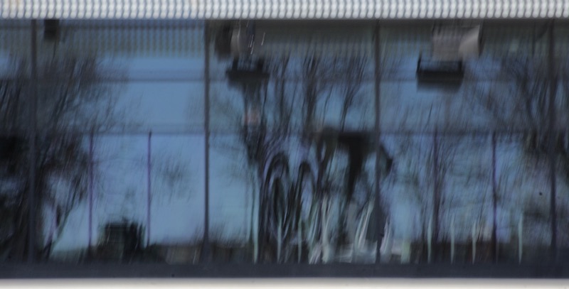 DSC03390.jpeg