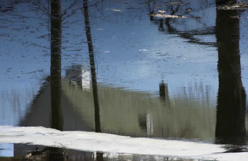 DSC03540.jpeg