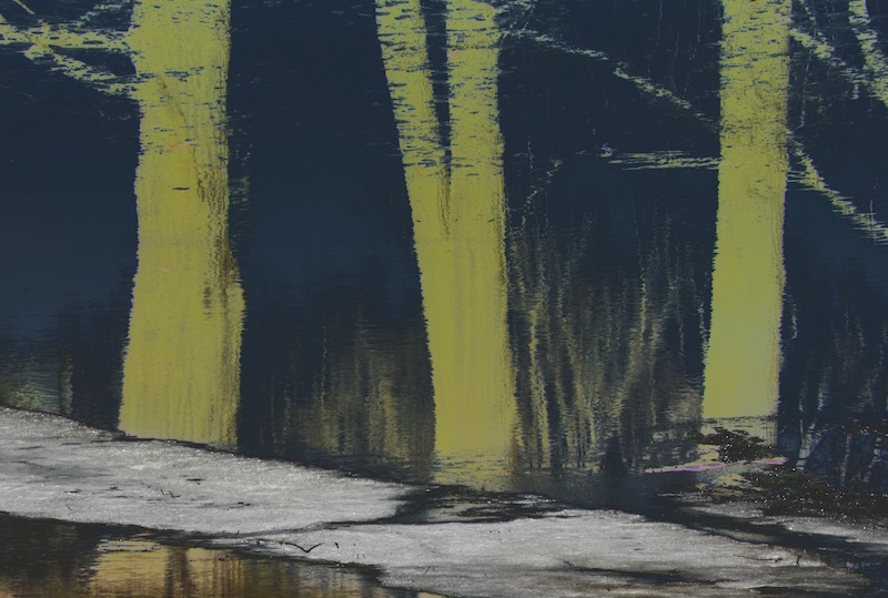 DSC03541.jpeg