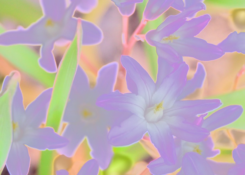DSC03703.jpeg