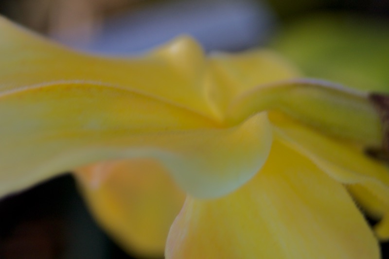 DSC03872.jpeg