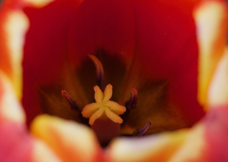 DSC04124.jpeg