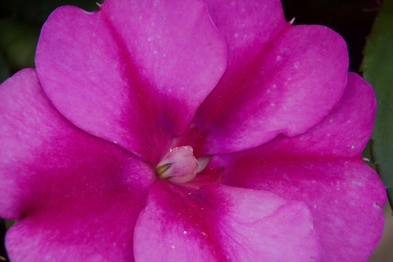 DSC04400.jpeg