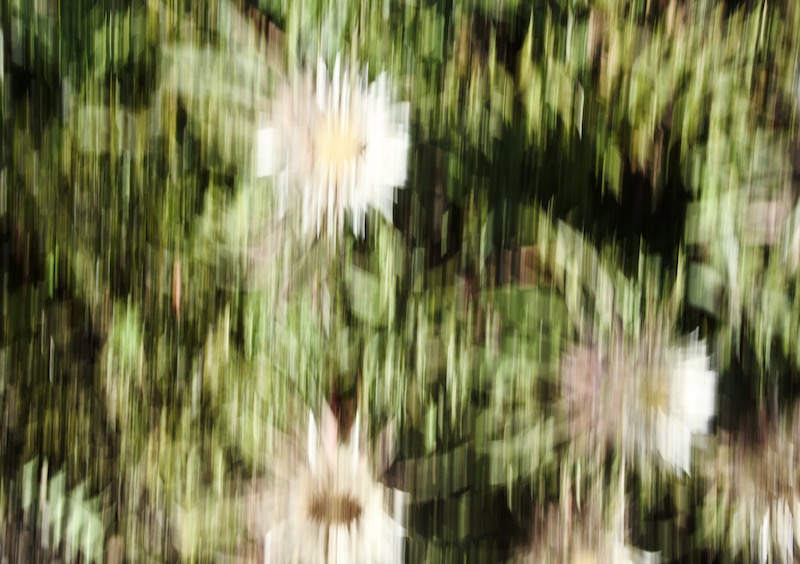 DSC06355.jpeg