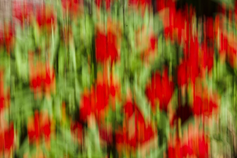 DSC06381.jpeg