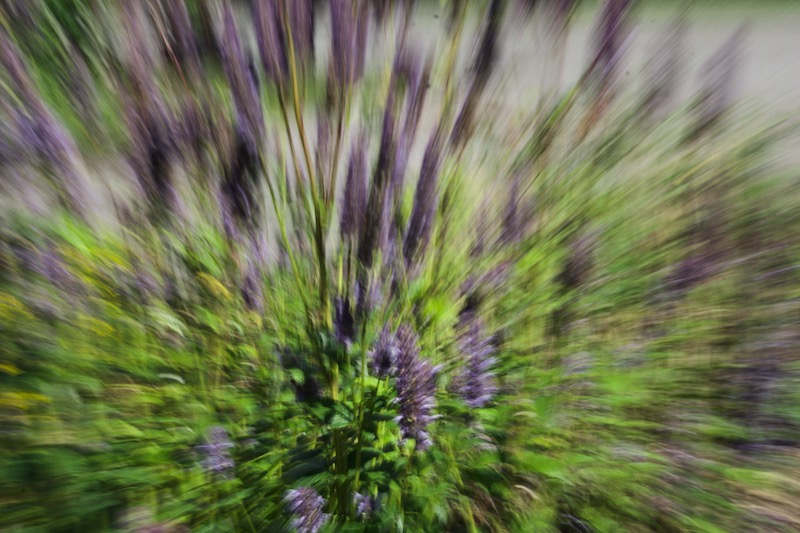 DSC06424.jpeg