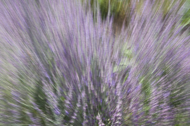 DSC06618.jpeg