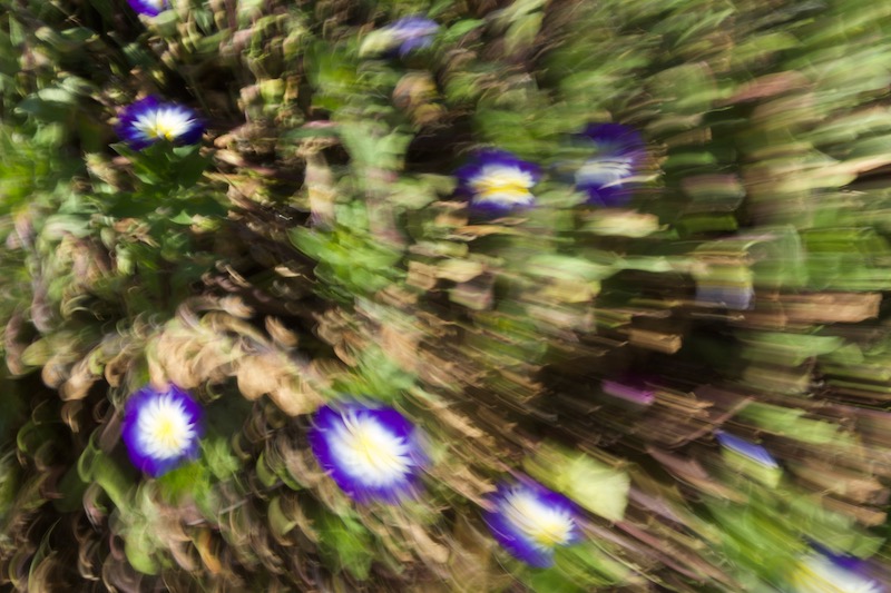 DSC07511.jpeg