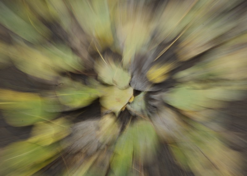 DSC07668.jpeg