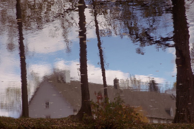 DSC07731.jpeg
