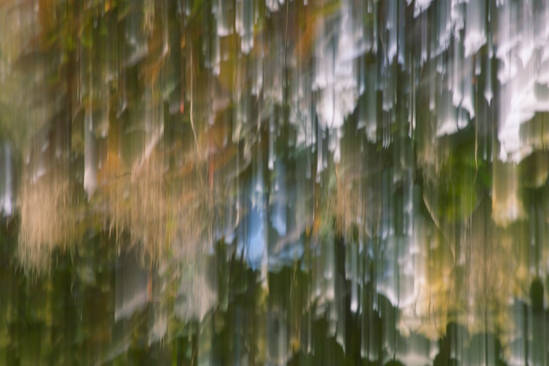 DSC07768.jpeg