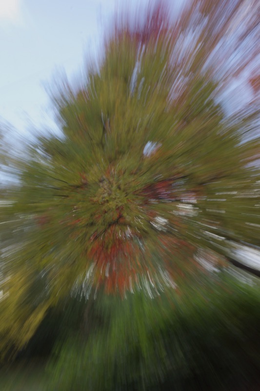DSC07787.jpeg