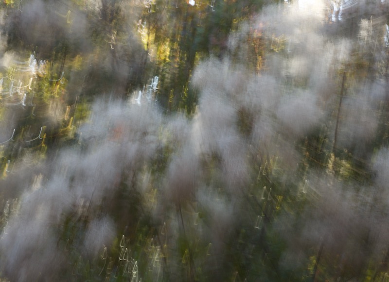 DSC08110.jpeg