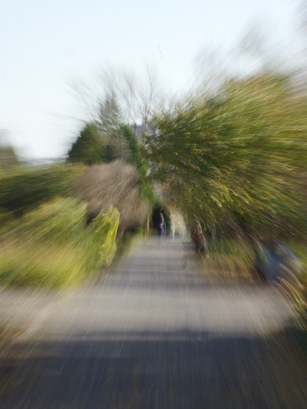 DSC08116.jpeg
