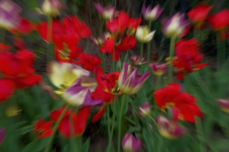 DSC09446.jpeg