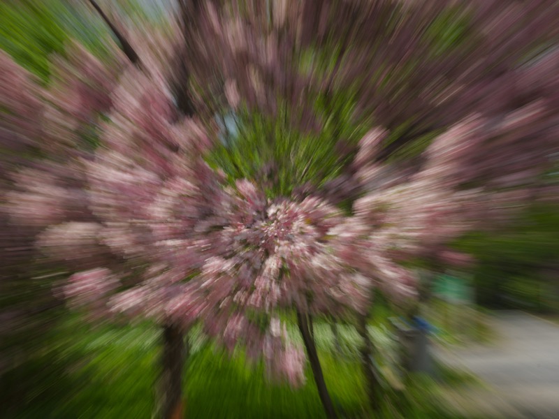 DSC09488.jpeg