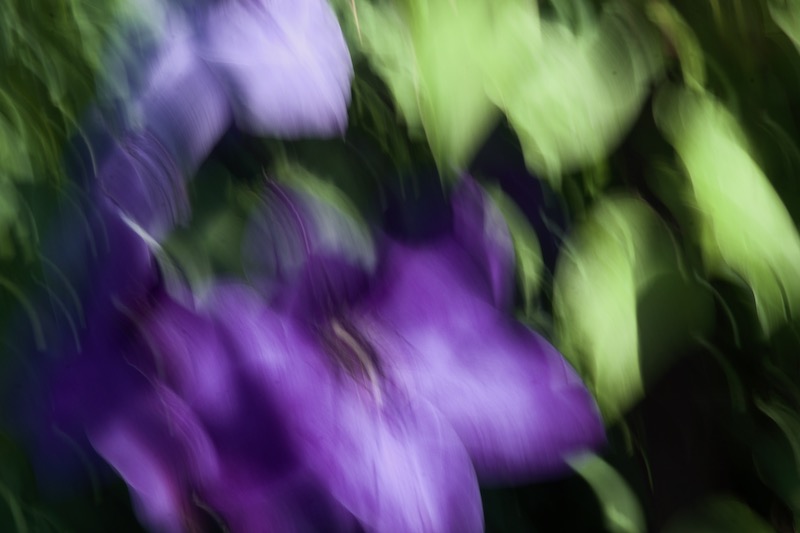 DSC01913.jpeg