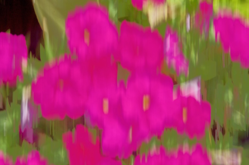 DSC01955.jpeg