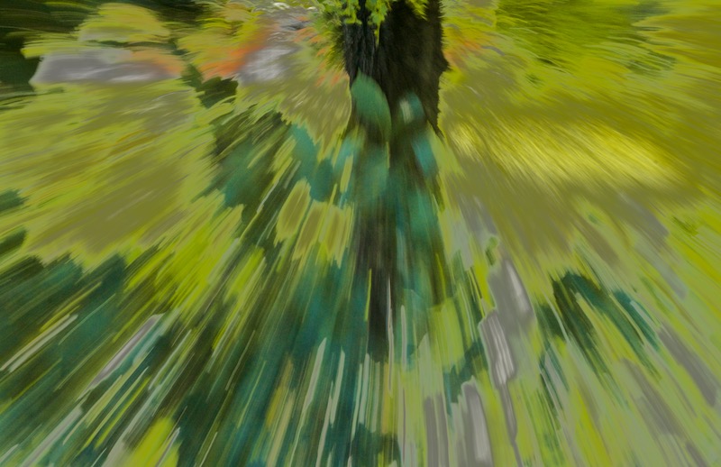 DSC01963.jpeg
