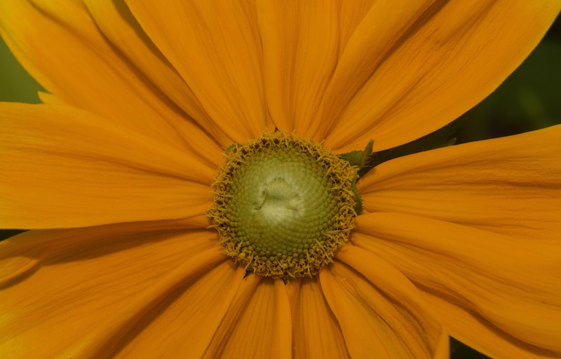 DSC02105.jpeg