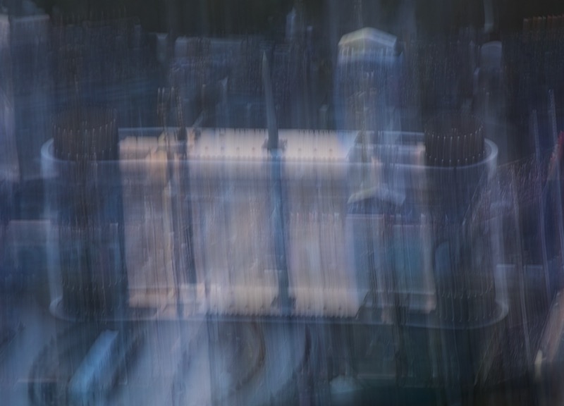 DSC02706.jpeg