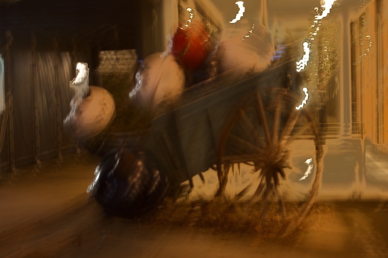 DSC03155.jpeg