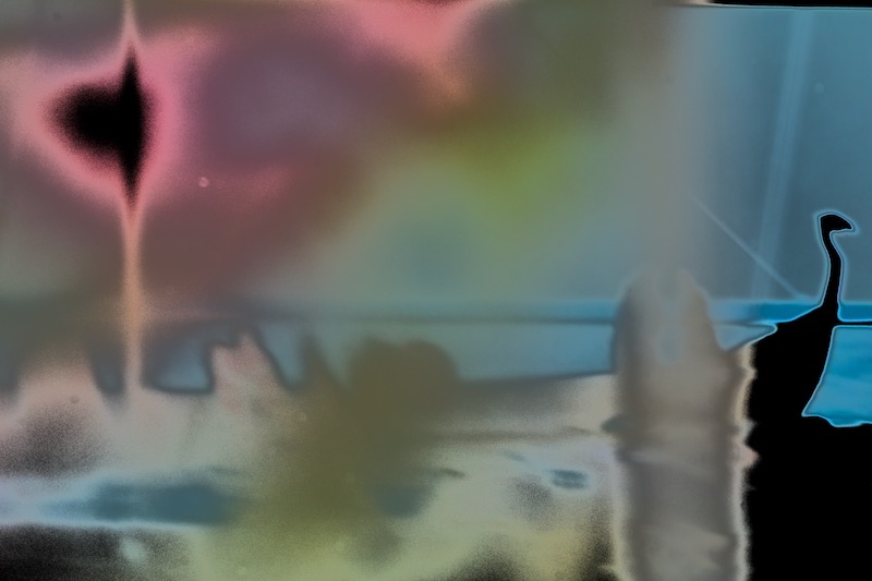 DSC03425.jpeg