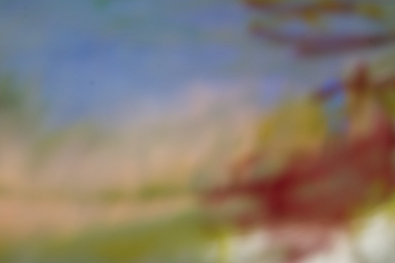 DSC03530.jpeg