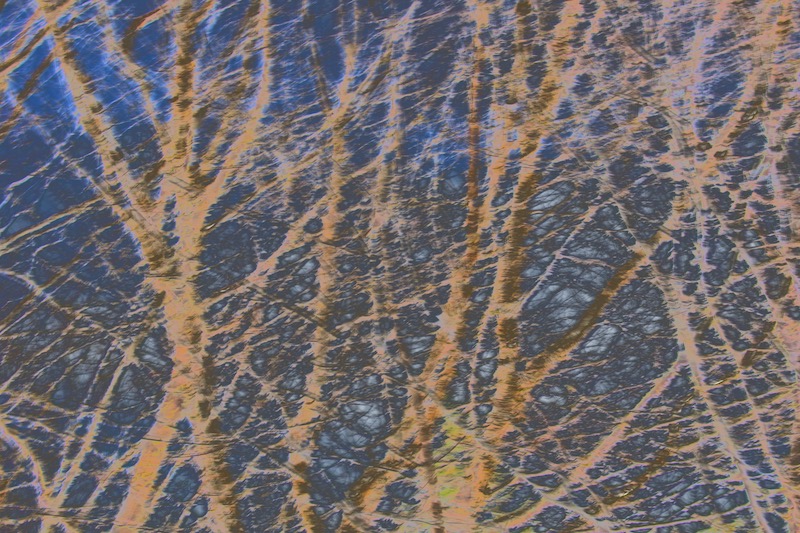 DSC04091.jpeg